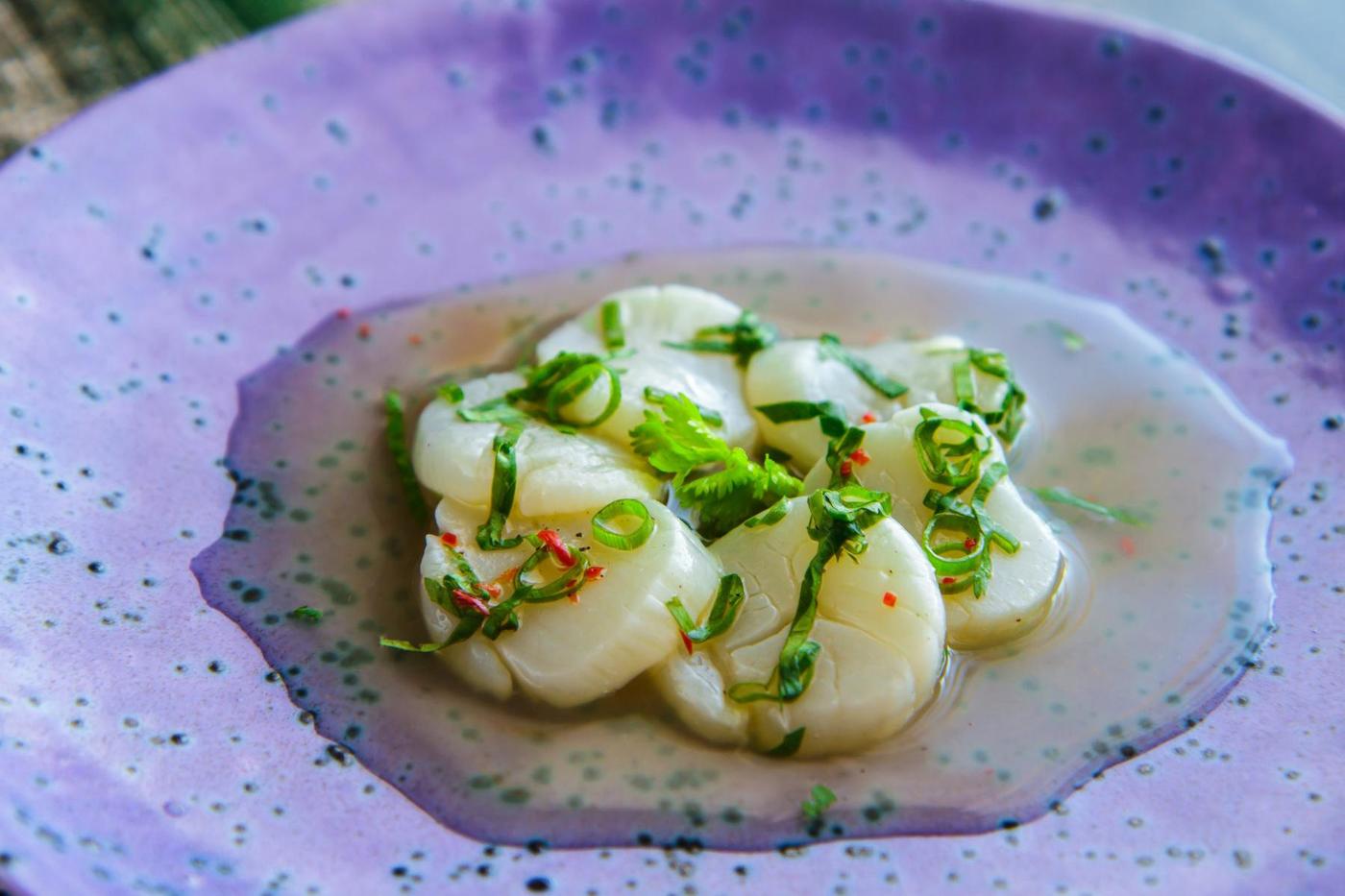 Scallop Ceviche Read & Be Well Canyon Ranch