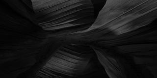 Nature in black and white