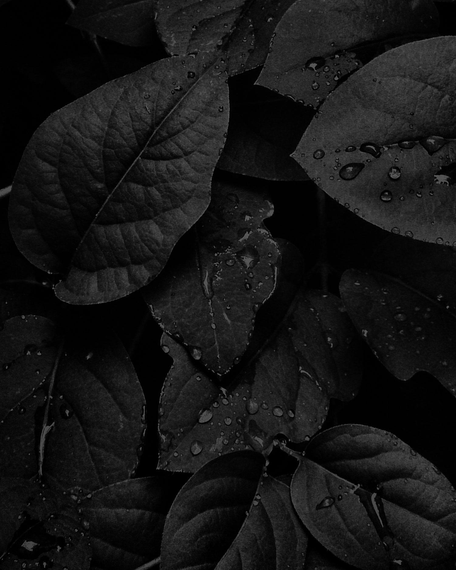 Destination Health Spa Resorts - Discover Canyon Ranch