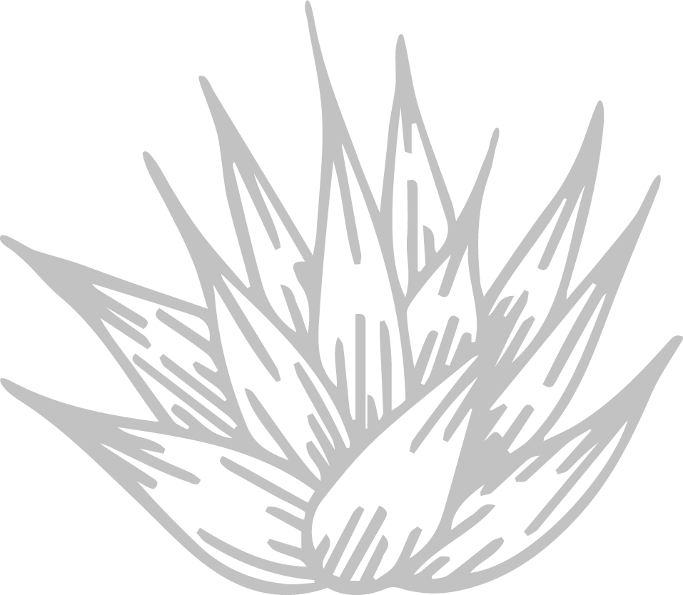 inGamba Cycling at Canyon Ranch Canyon Ranch