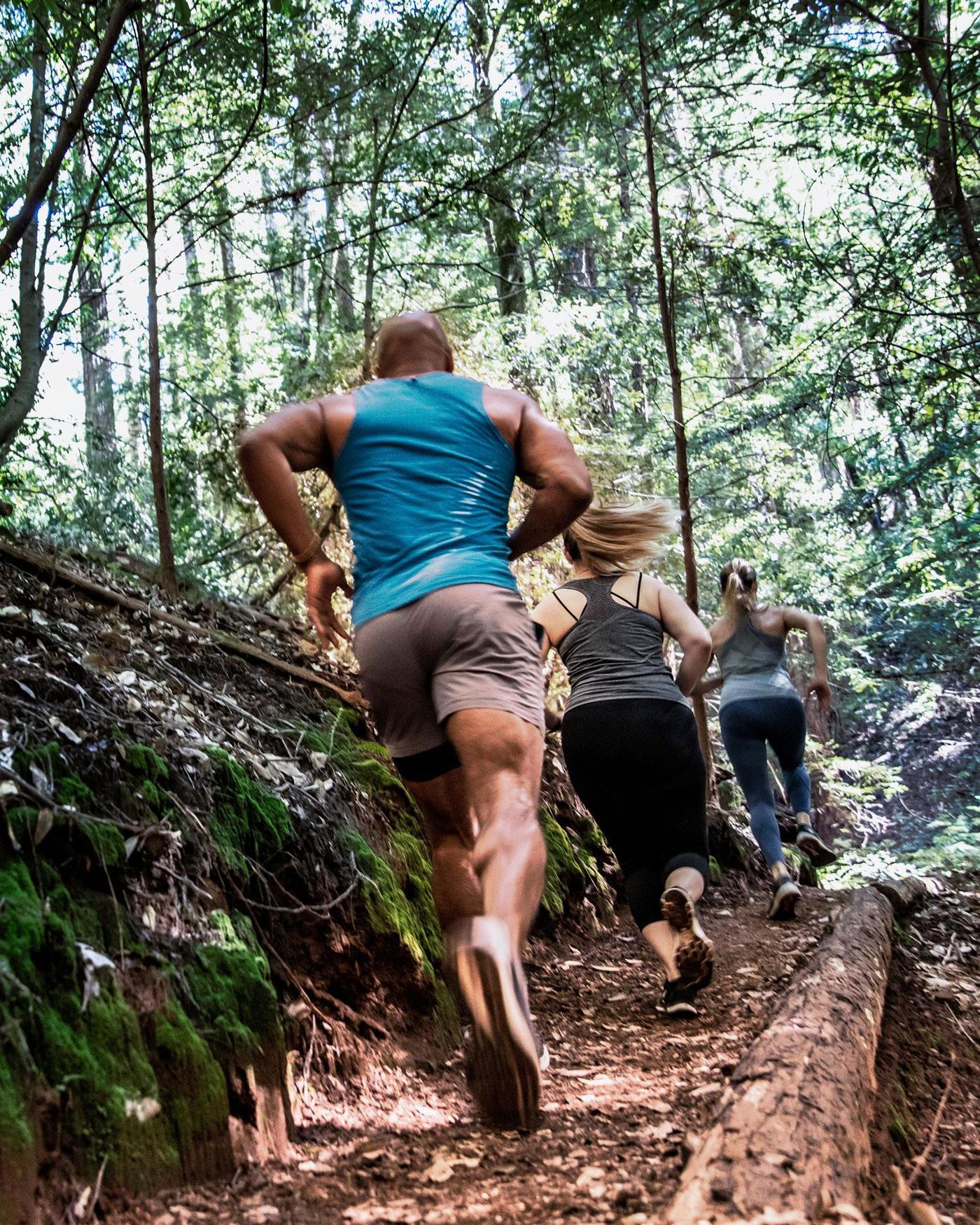 Northern California Wellness Retreats Canyon Ranch Woodside