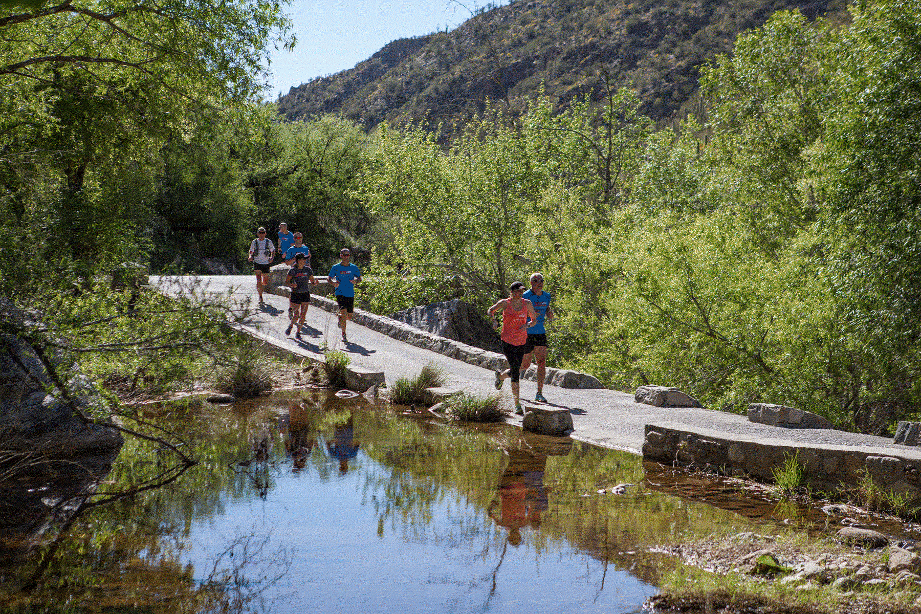 Scenic Outdoor Sports & Adventures Canyon Ranch Retreats