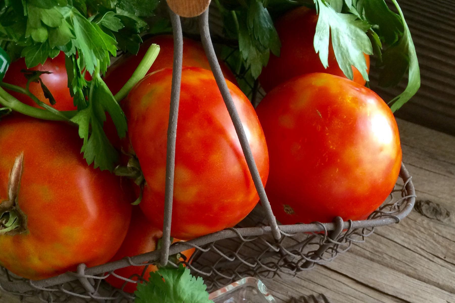 Horseradish Tomato Vinaigrette Read & Be Well Canyon Ranch