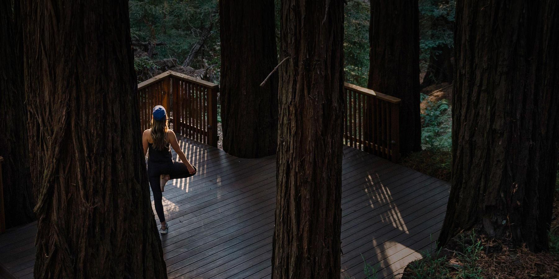 Spa Resort near San Francisco Canyon Ranch Woodside