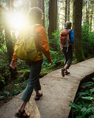 Leaders hiking in the woods