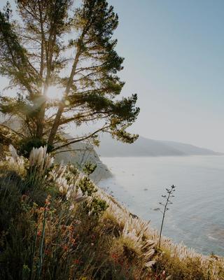 Woman sitting in bed at Canyon Ranch Woodside.
