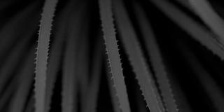 A black and white image of leaves.