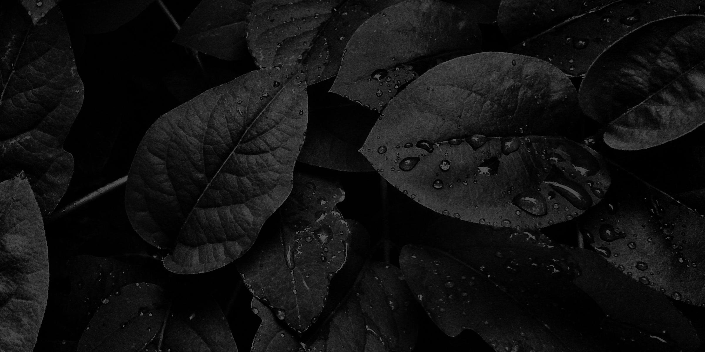 Wellness Resorts, Health Spas, & Retreats Canyon Ranch