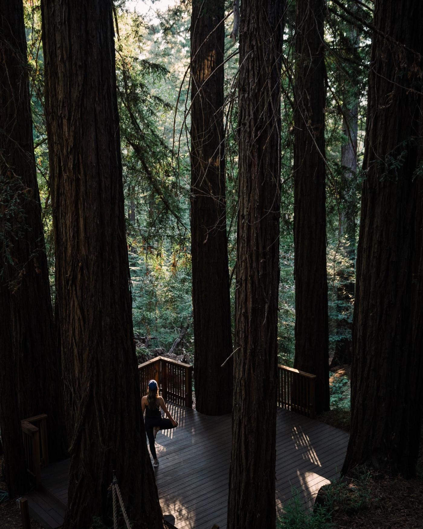 California Wellness Retreat Explore Canyon Ranch Woodside