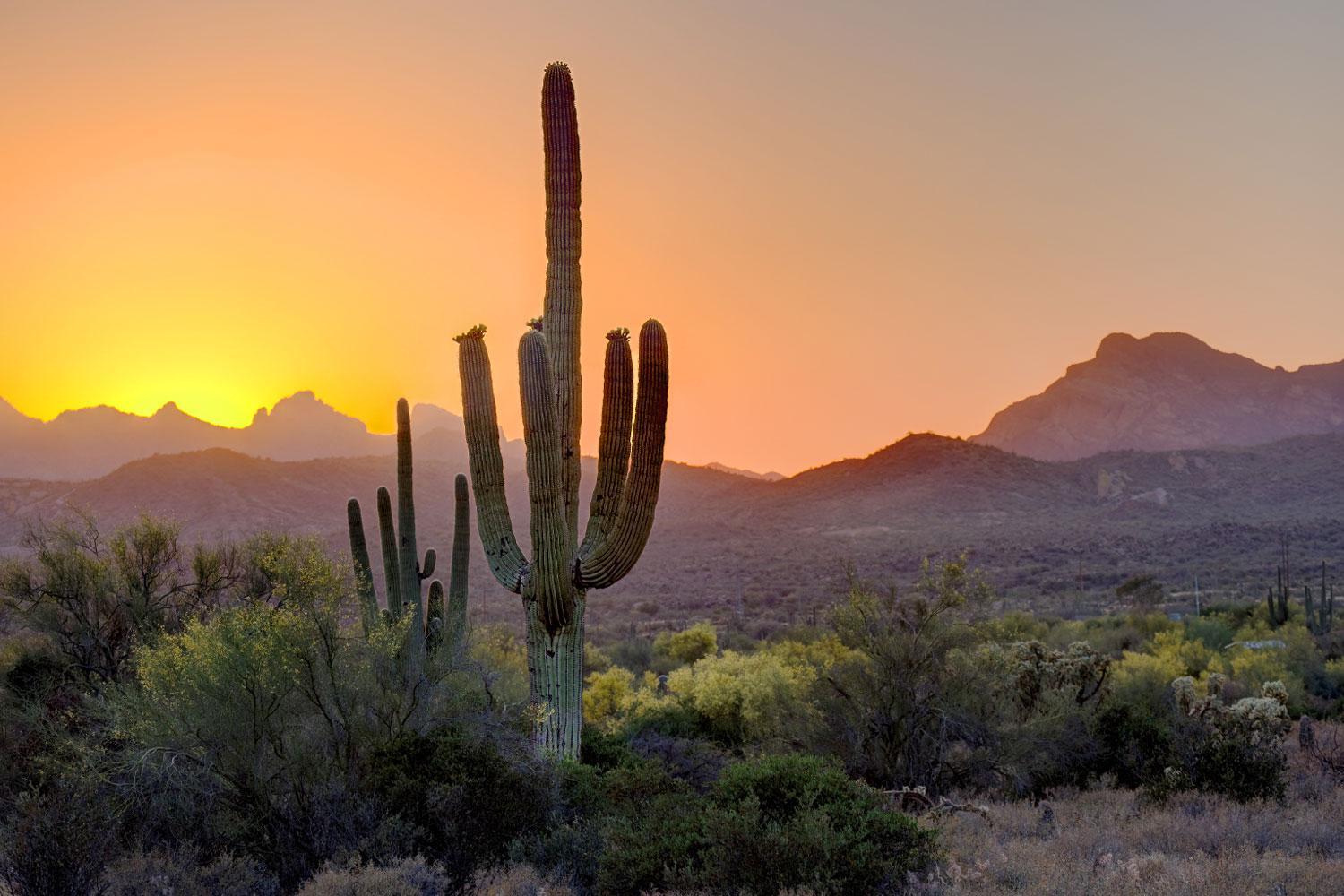 Arizona Wellness Communities Live Healthy at Canyon Ranch Tucson