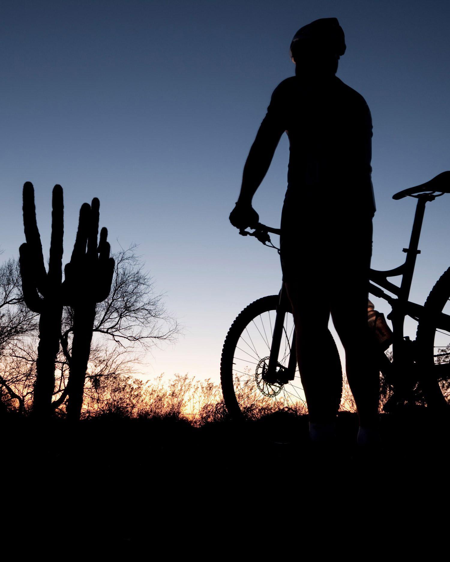 Arizona Desert Resorts Canyon Ranch Tucson in the Sonoran Desert