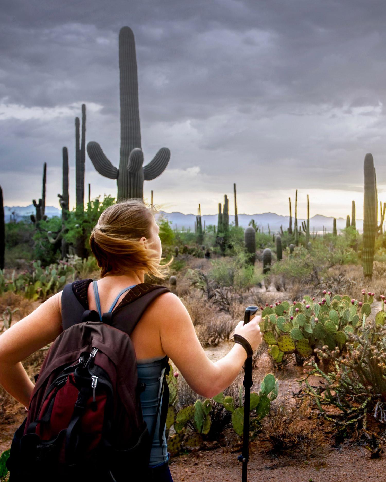 Private Group Hiking (4-12ppl) — 300 min