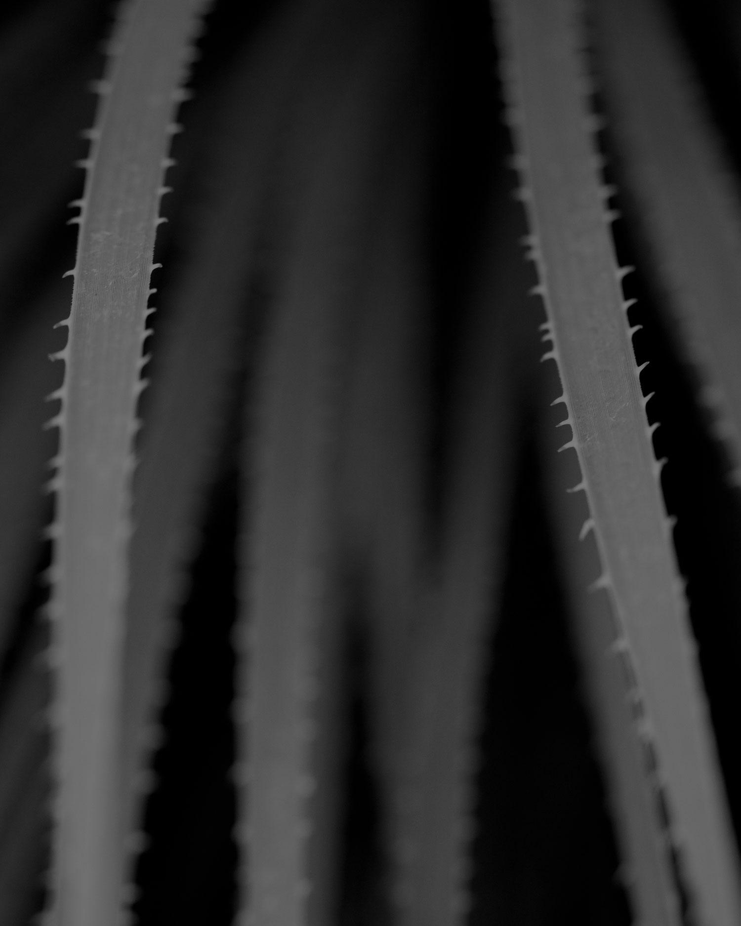 Guest Rooms at Canyon Ranch Arizona Desert Resort